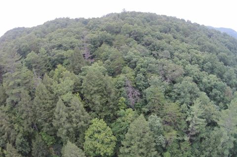 Tiny photo for Tract 1 Straight Fork Road, Huntsville, TN 37756 (MLS # 1530047)