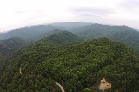 Tiny photo for Tract 1 Straight Fork Road, Huntsville, TN 37756 (MLS # 1530047)