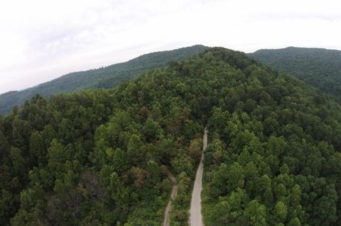 Tiny photo for Tract 1 Straight Fork Road, Huntsville, TN 37756 (MLS # 1530047)