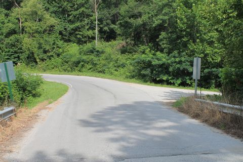 Tiny photo for Tract 1 Straight Fork Road, Huntsville, TN 37756 (MLS # 1530047)