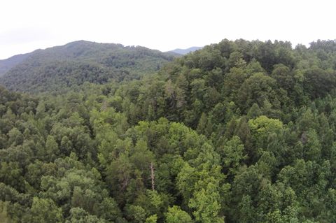 Tiny photo for Tract 1 Straight Fork Road, Huntsville, TN 37756 (MLS # 1530047)