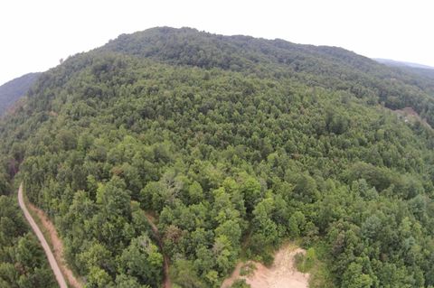 Tiny photo for Tract 1 Straight Fork Road, Huntsville, TN 37756 (MLS # 1530047)