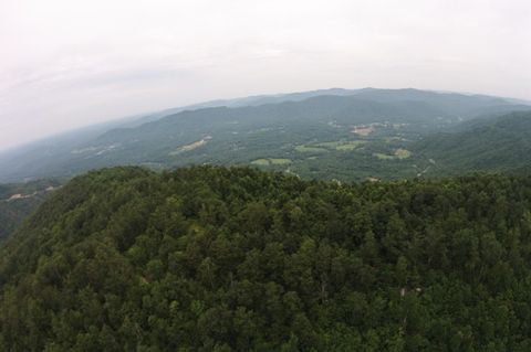 Tiny photo for Tract 1 Straight Fork Road, Huntsville, TN 37756 (MLS # 1530047)