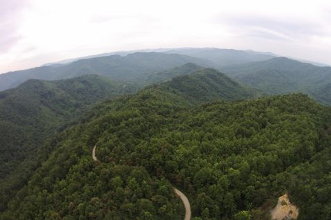 Tiny photo for Tract 1 Straight Fork Road, Huntsville, TN 37756 (MLS # 1530047)