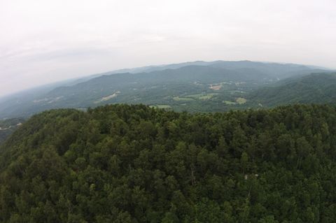 Tiny photo for Tract 1 Straight Fork Road, Huntsville, TN 37756 (MLS # 1530047)