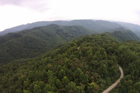 Tiny photo for Tract 1 Straight Fork Road, Huntsville, TN 37756 (MLS # 1530047)