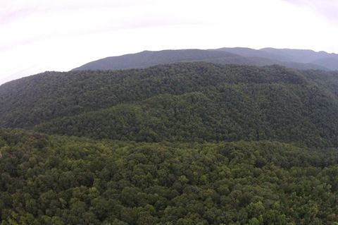 Tiny photo for Tract 1 Straight Fork Road, Huntsville, TN 37756 (MLS # 1530047)