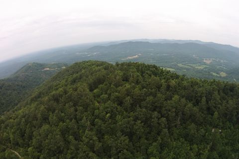 Tiny photo for Tract 1 Straight Fork Road, Huntsville, TN 37756 (MLS # 1530047)