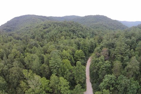Tiny photo for Tract 1 Straight Fork Road, Huntsville, TN 37756 (MLS # 1530047)