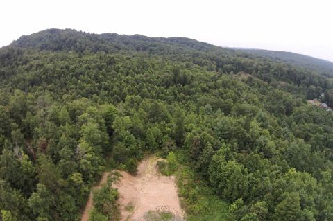 Tiny photo for Tract 1 Straight Fork Road, Huntsville, TN 37756 (MLS # 1530047)