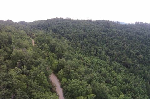 Tiny photo for Tract 1 Straight Fork Road, Huntsville, TN 37756 (MLS # 1530047)