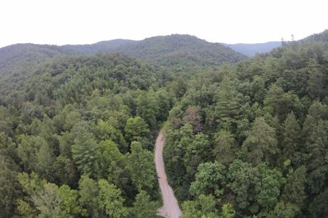 Tiny photo for Tract 1 Straight Fork Road, Huntsville, TN 37756 (MLS # 1530047)