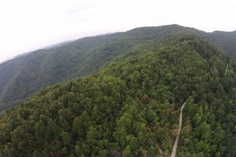 Tiny photo for Tract 1 Straight Fork Road, Huntsville, TN 37756 (MLS # 1530047)