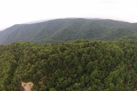 Tiny photo for Tract 1 Straight Fork Road, Huntsville, TN 37756 (MLS # 1530047)