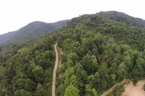 Tiny photo for Tract 1 Straight Fork Road, Huntsville, TN 37756 (MLS # 1530047)