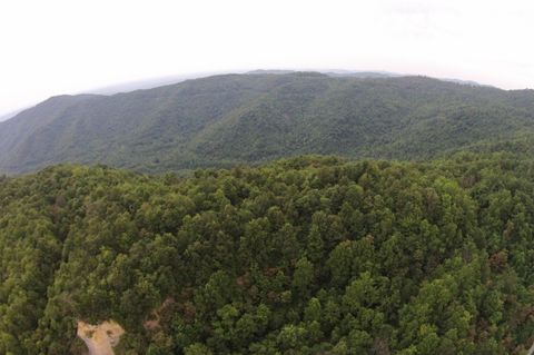 Tiny photo for Tract 1 Straight Fork Road, Huntsville, TN 37756 (MLS # 1530047)