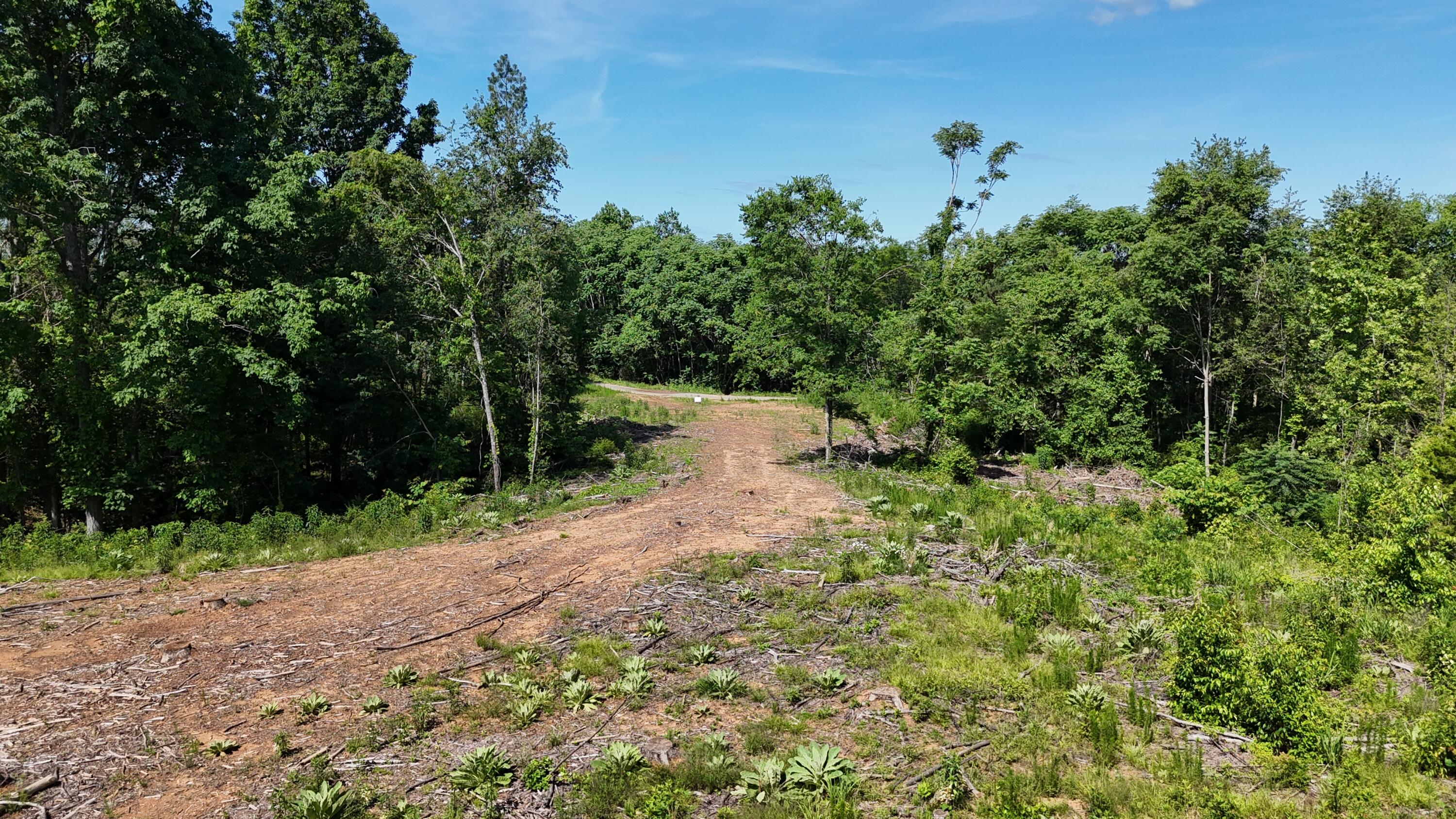 Lot 4 Lamontville Road, Decatur, Tennessee image 9