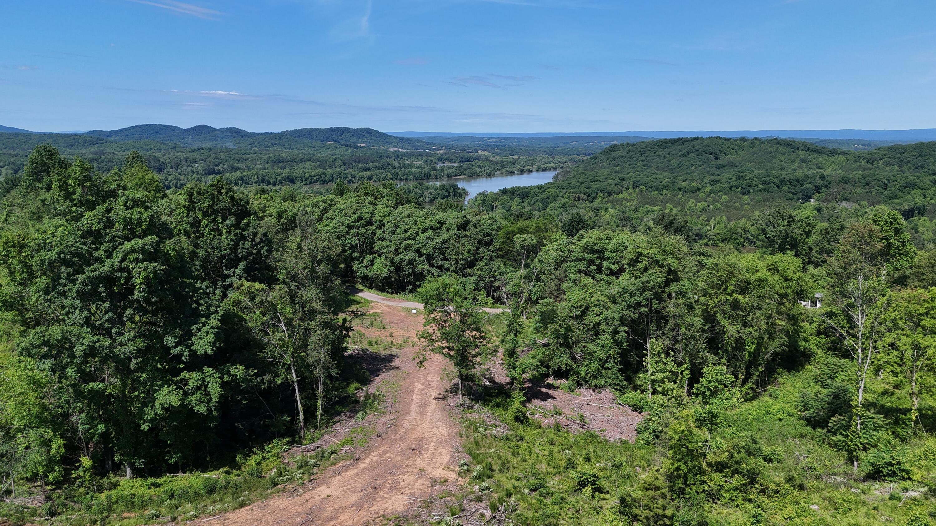 Lot 4 Lamontville Road, Decatur, Tennessee image 10
