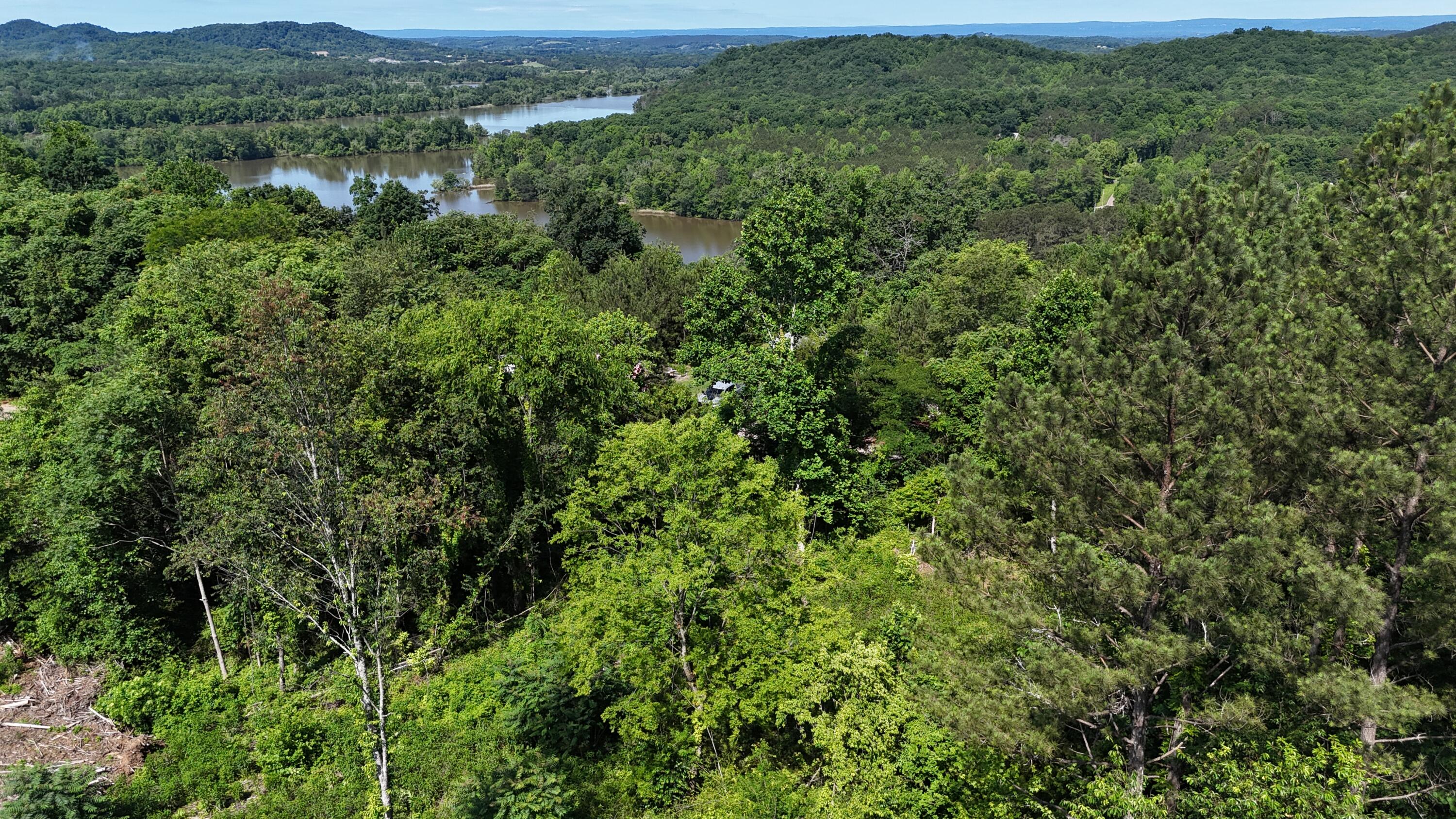 Lot 4 Lamontville Road, Decatur, Tennessee image 8