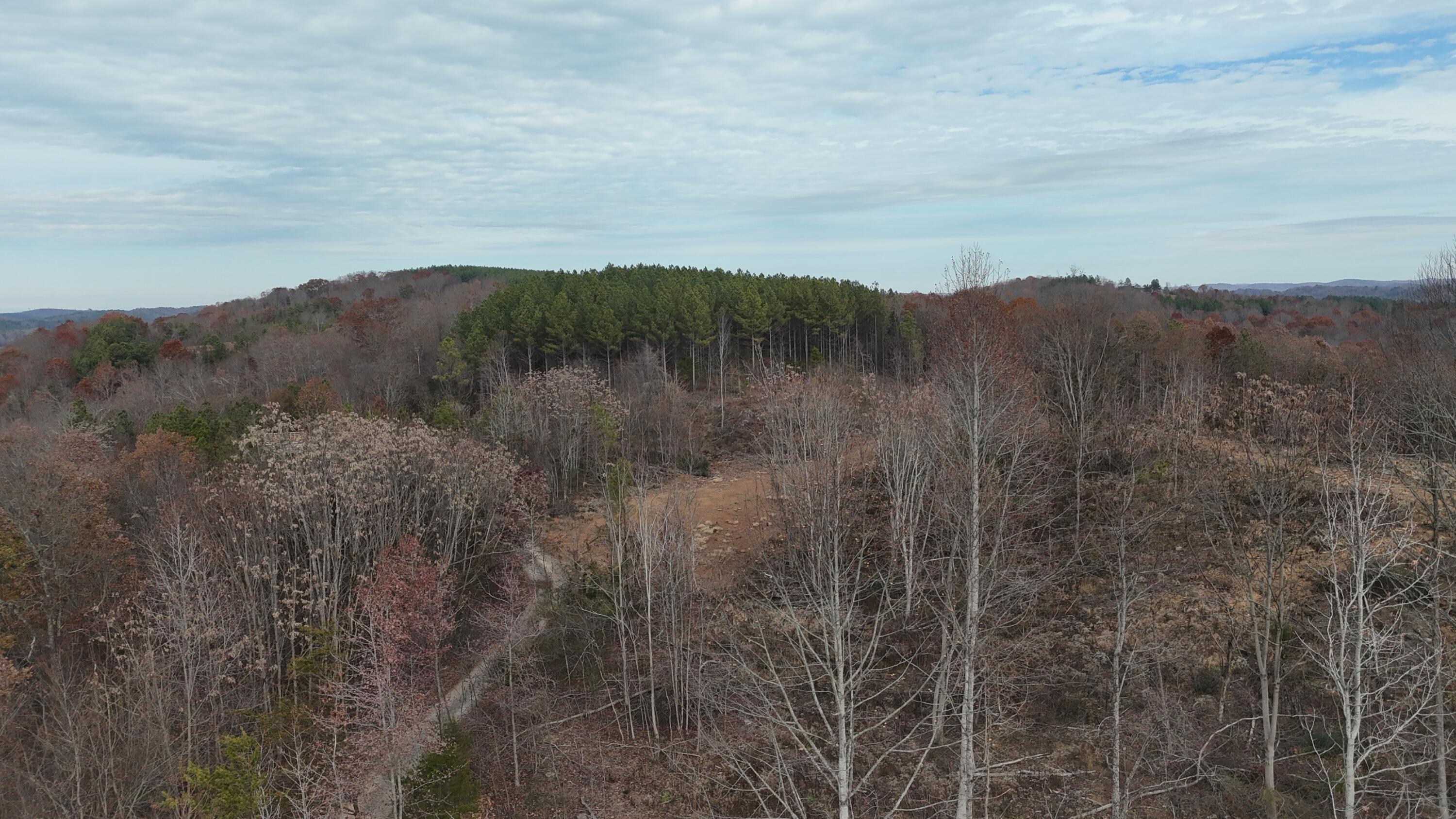 Lot 4 Lamontville Road, Decatur, Tennessee image 28