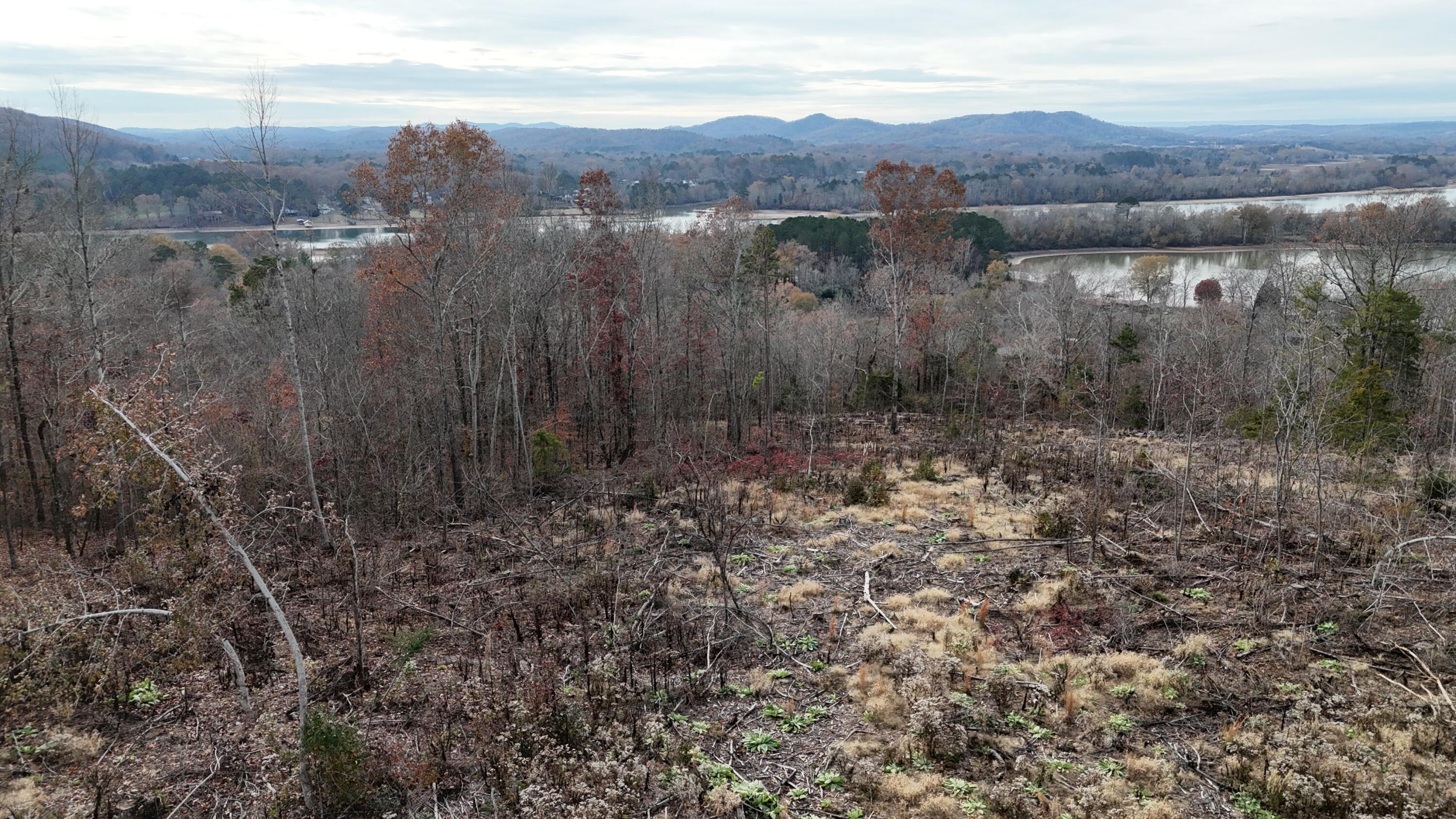 Lot 4 Lamontville Road, Decatur, Tennessee image 18