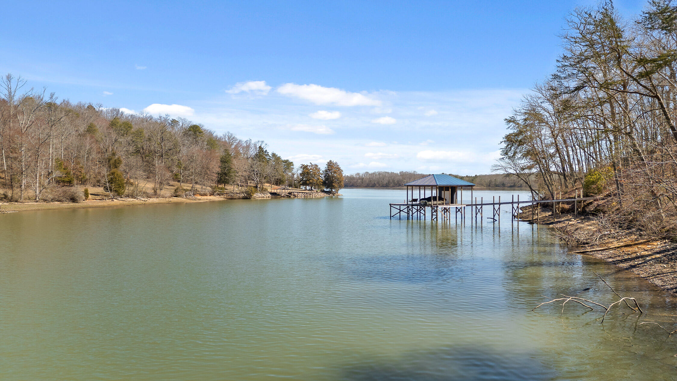15887 Channel Pointe Drive #LOT 58, Sale Creek, Tennessee image 1