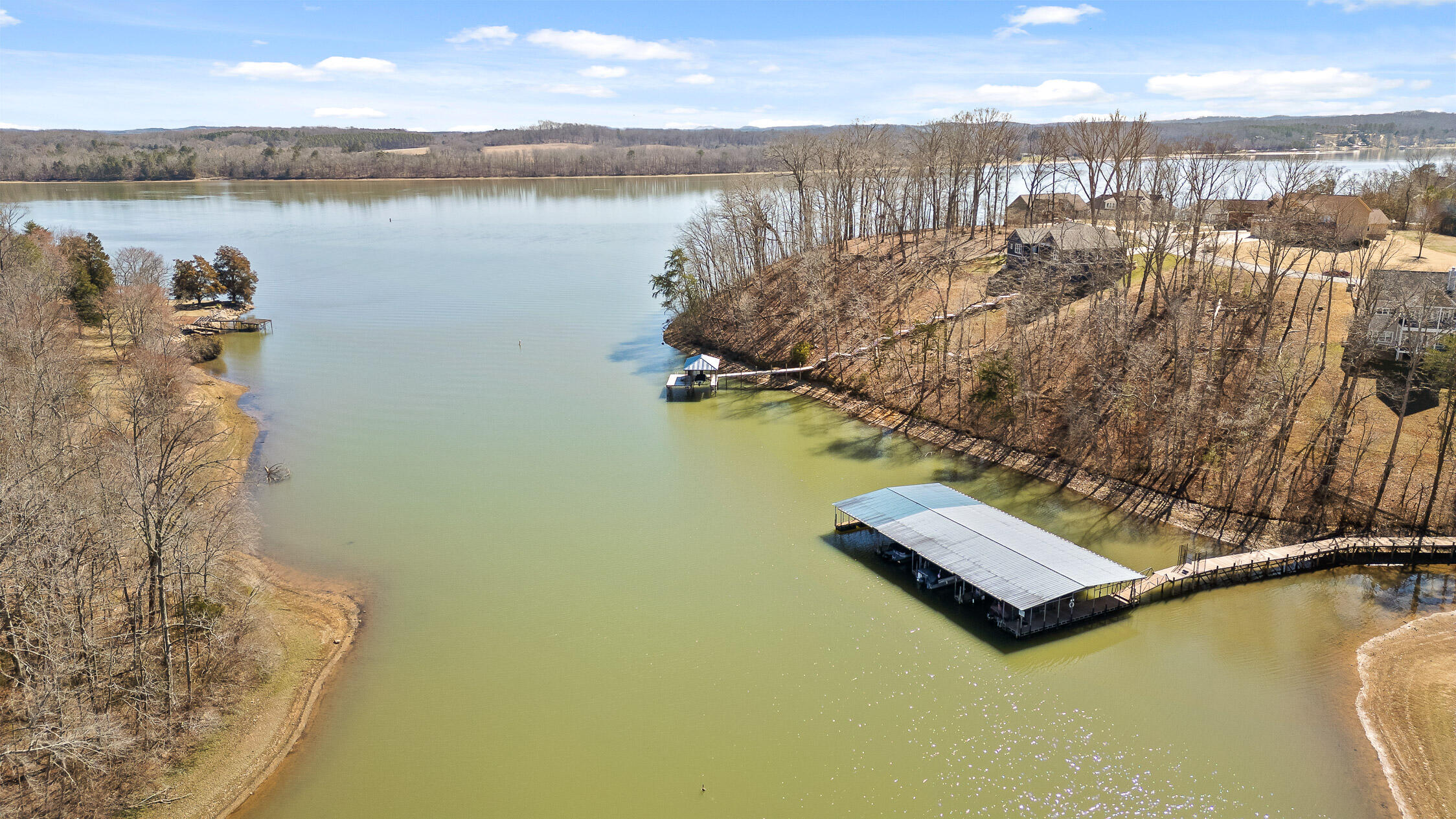 15887 Channel Pointe Drive #LOT 58, Sale Creek, Tennessee image 4