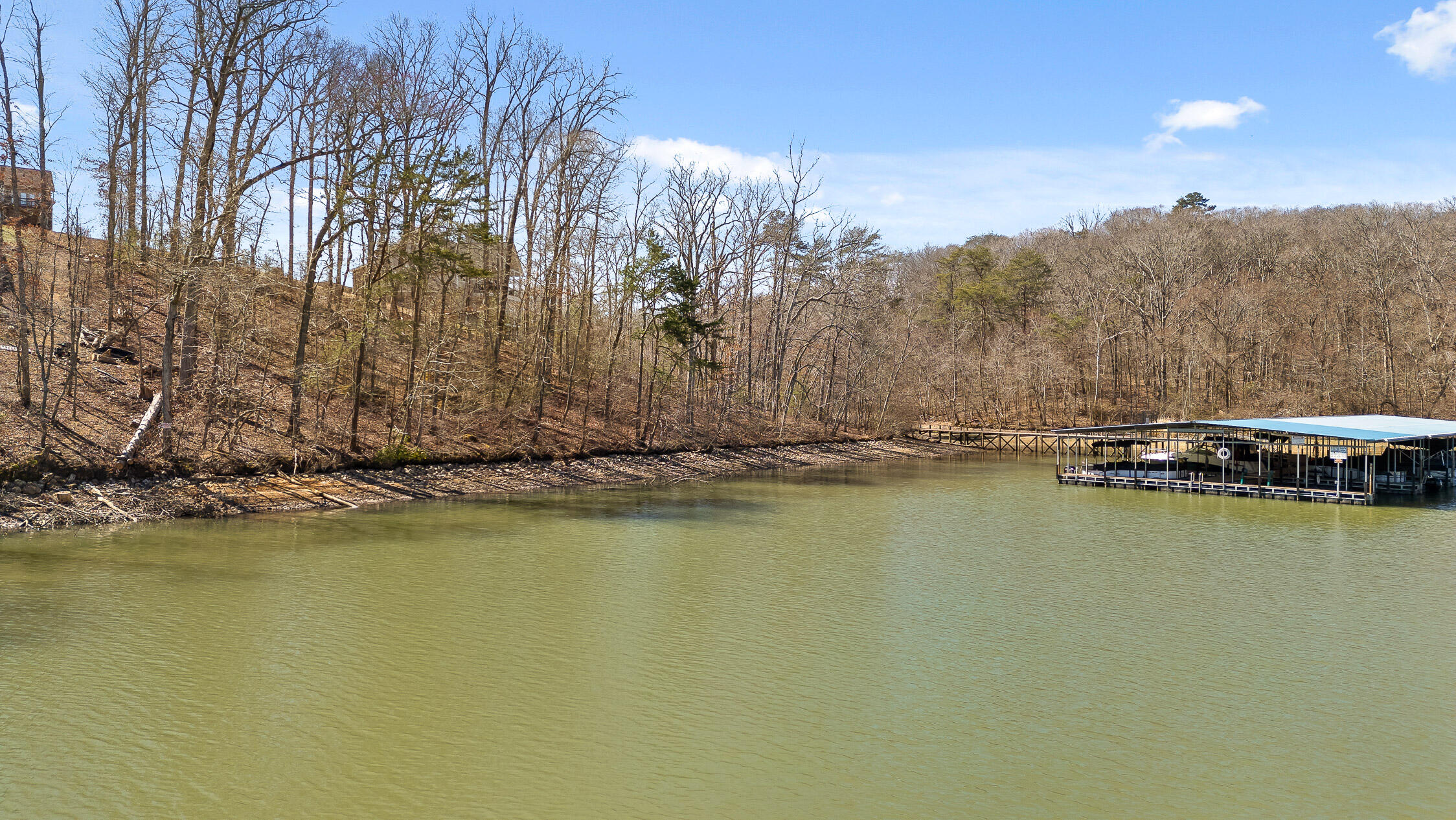 15887 Channel Pointe Drive #LOT 58, Sale Creek, Tennessee image 3