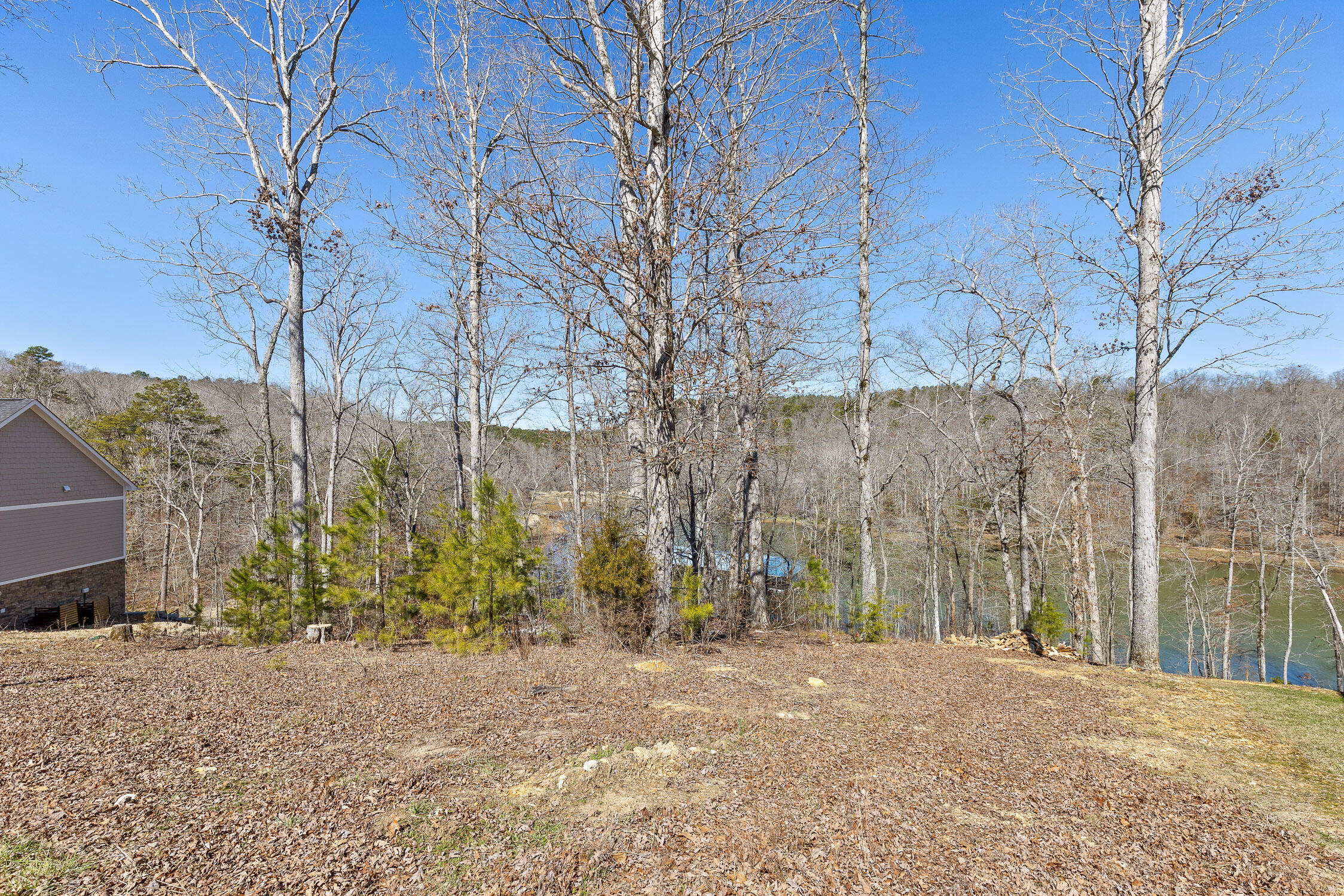 15887 Channel Pointe Drive #LOT 58, Sale Creek, Tennessee image 11