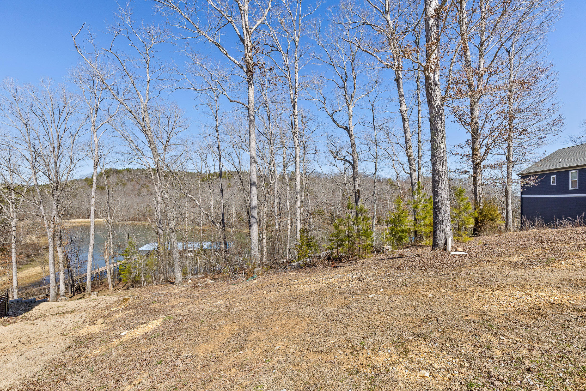 15887 Channel Pointe Drive #LOT 58, Sale Creek, Tennessee image 10