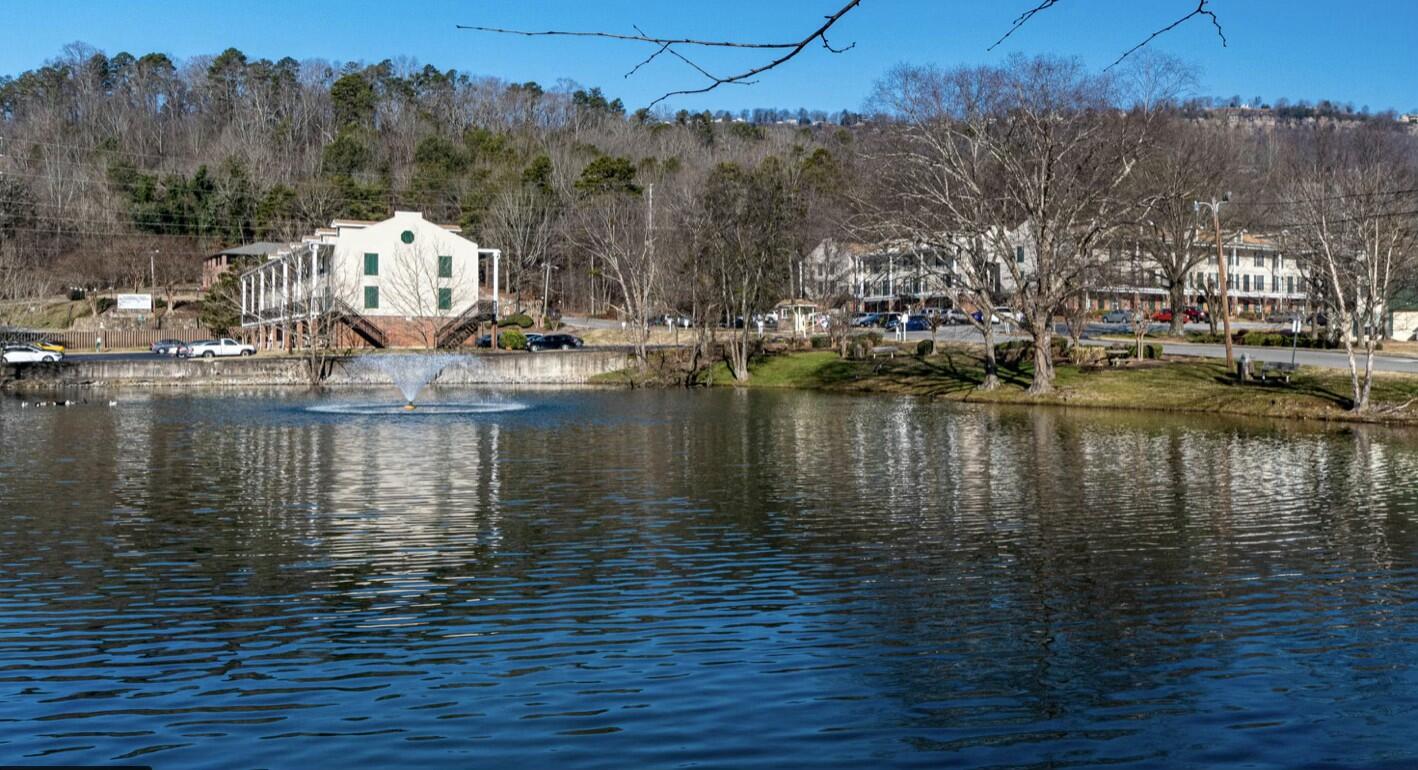900 Mountain Creek Road #P236, Chattanooga, Tennessee image 3