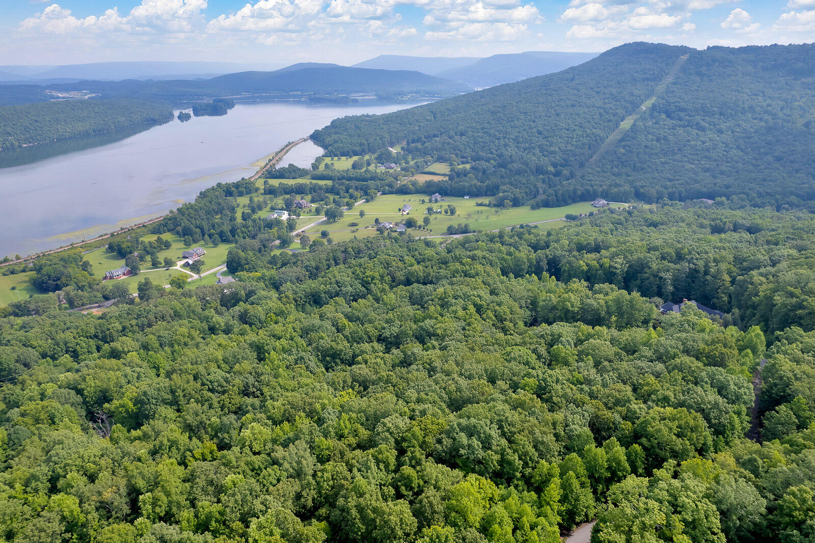Scenic Drive, South Pittsburg, Tennessee image 6