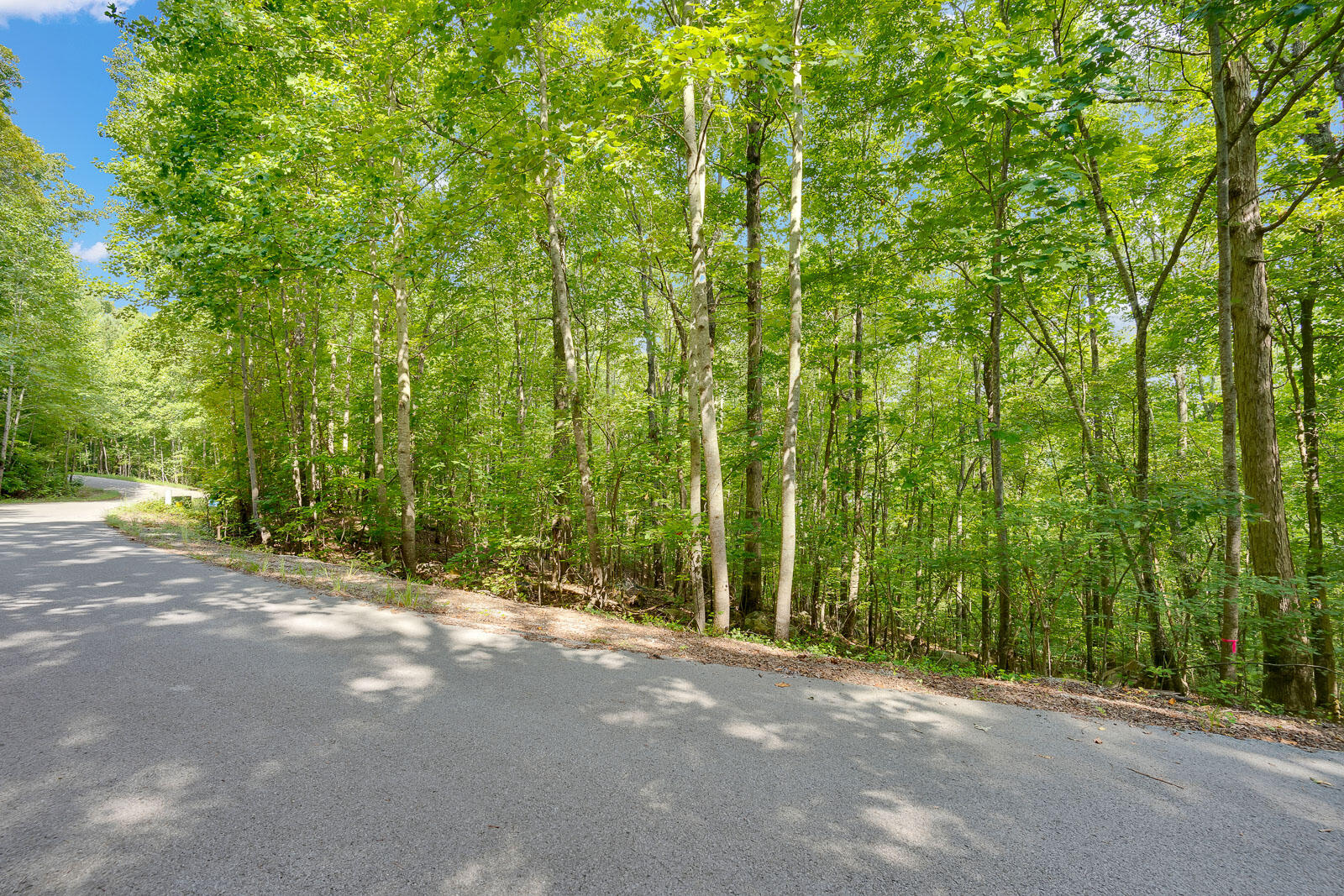 Scenic Drive, South Pittsburg, Tennessee image 2