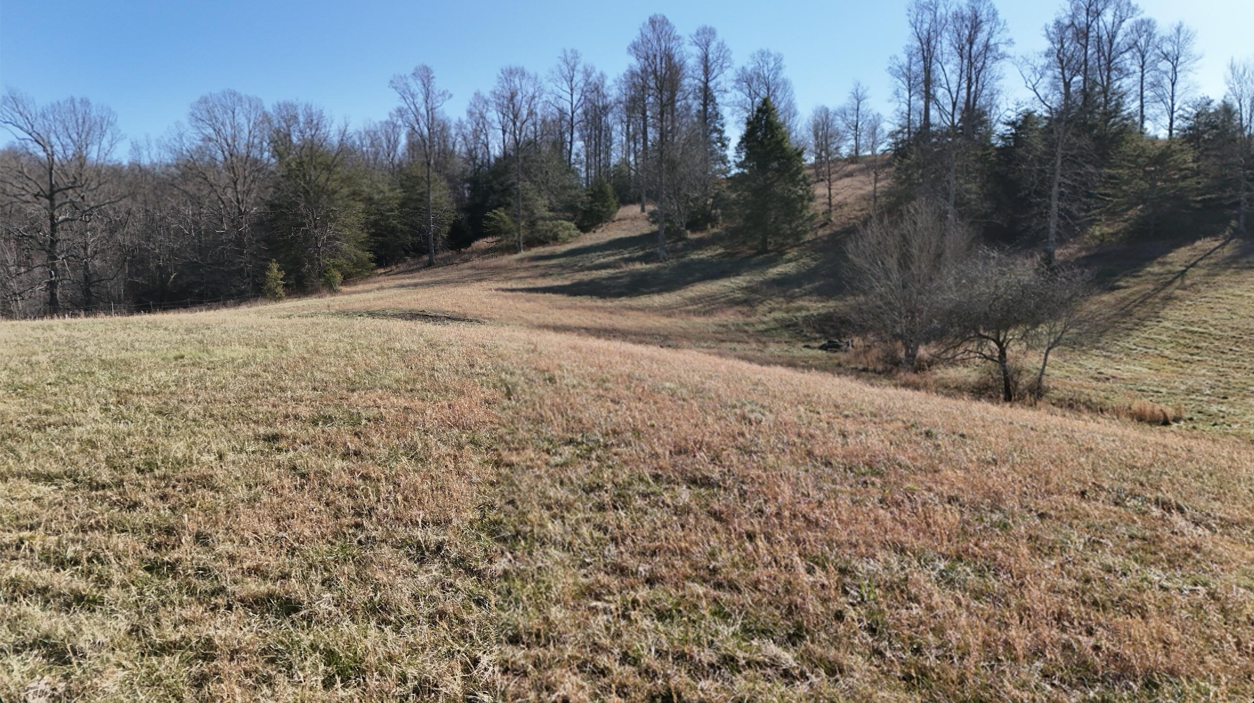 Old Dirt Road #LOT 33, Graysville, Tennessee image 9