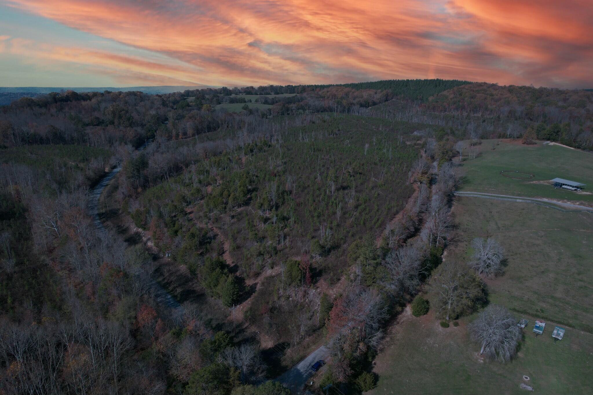 Big Sewee Road, Decatur, Tennessee image 2