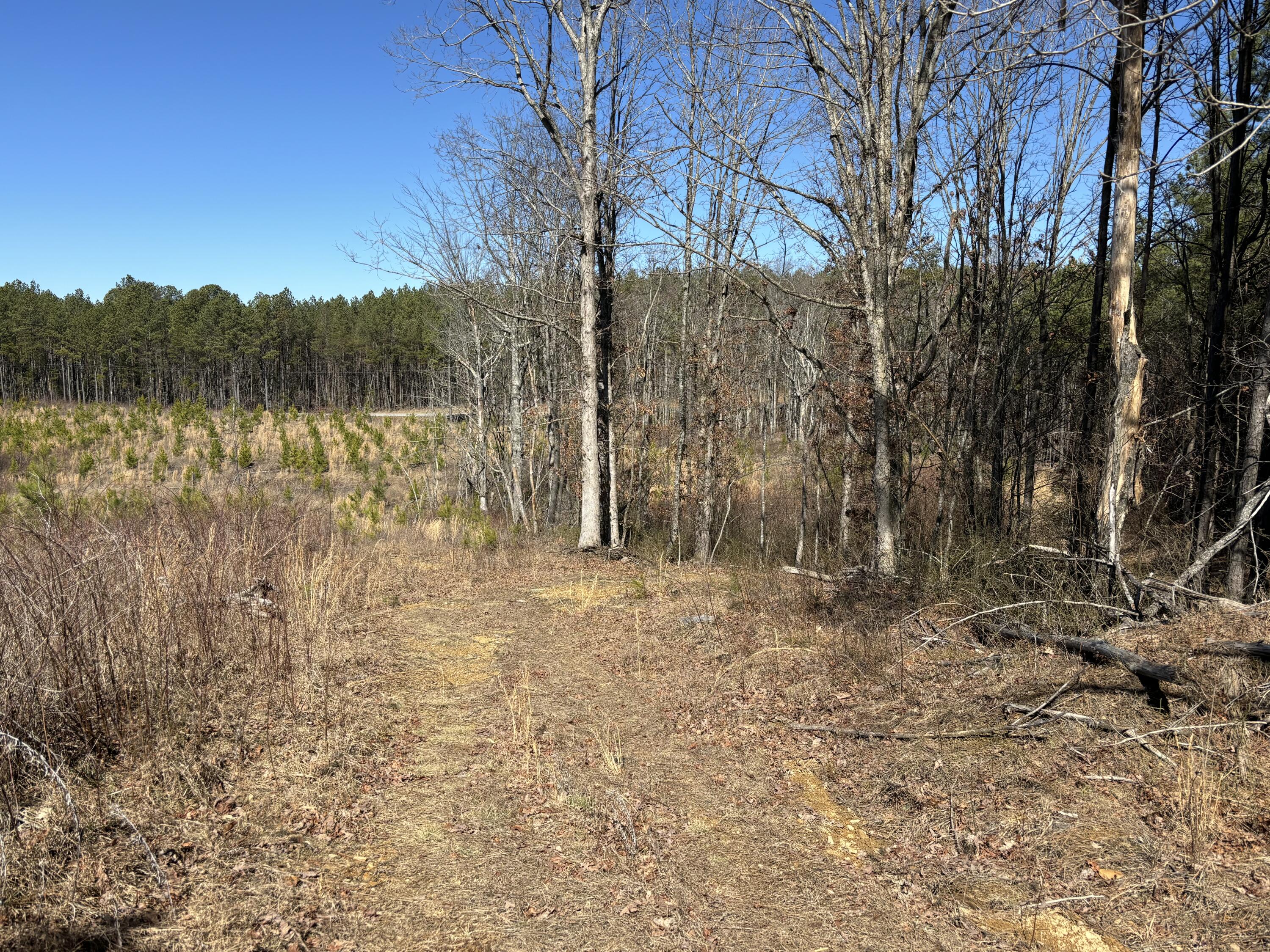 10 Hwy 399, Dunlap, Tennessee image 6