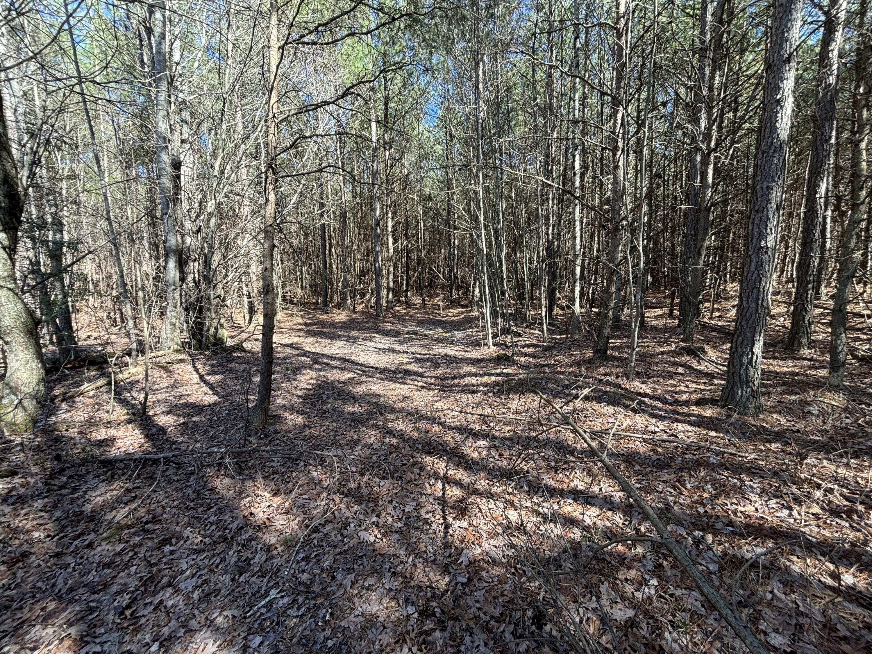 10 Hwy 399, Dunlap, Tennessee image 10