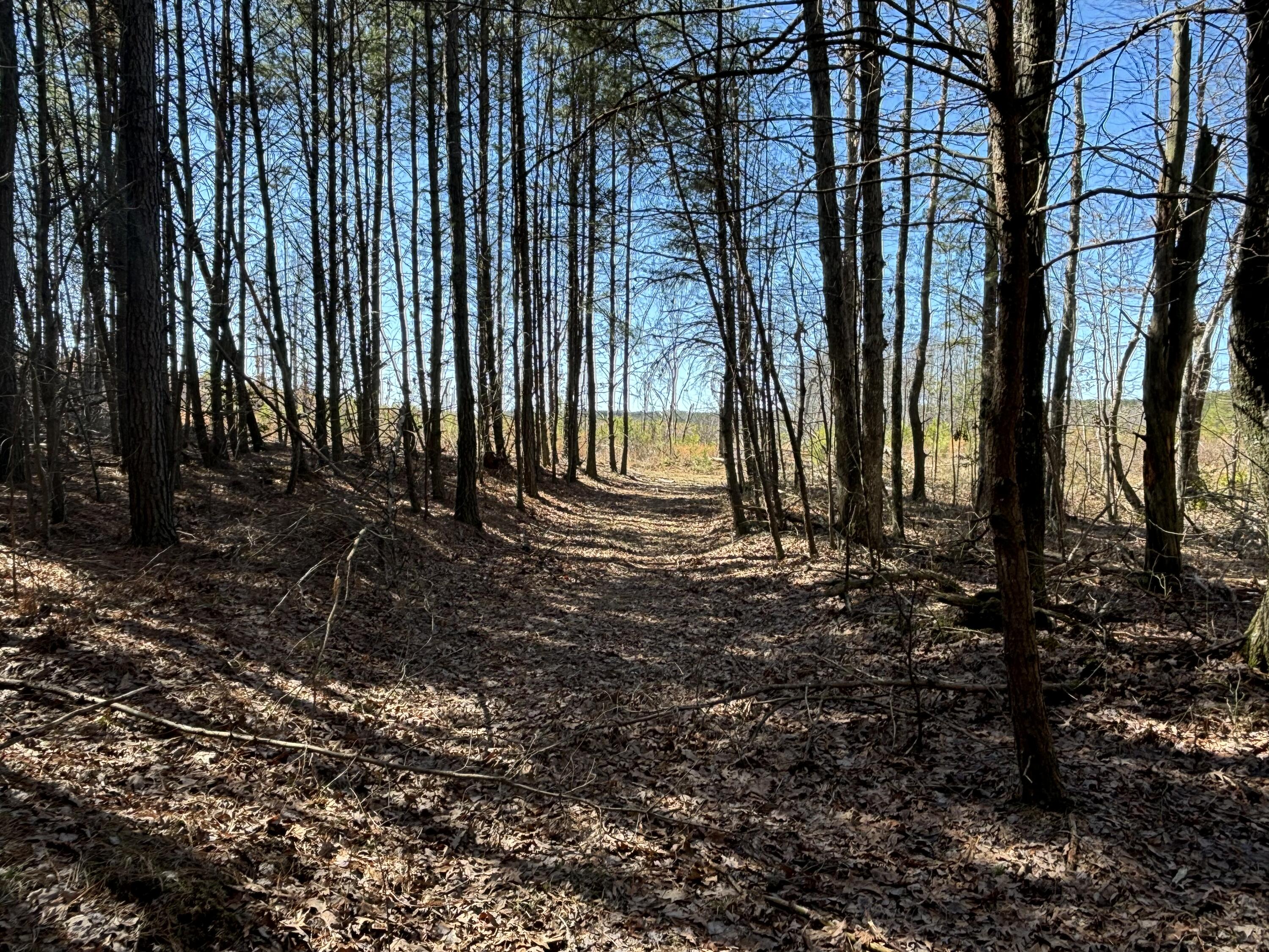 10 Hwy 399, Dunlap, Tennessee image 1
