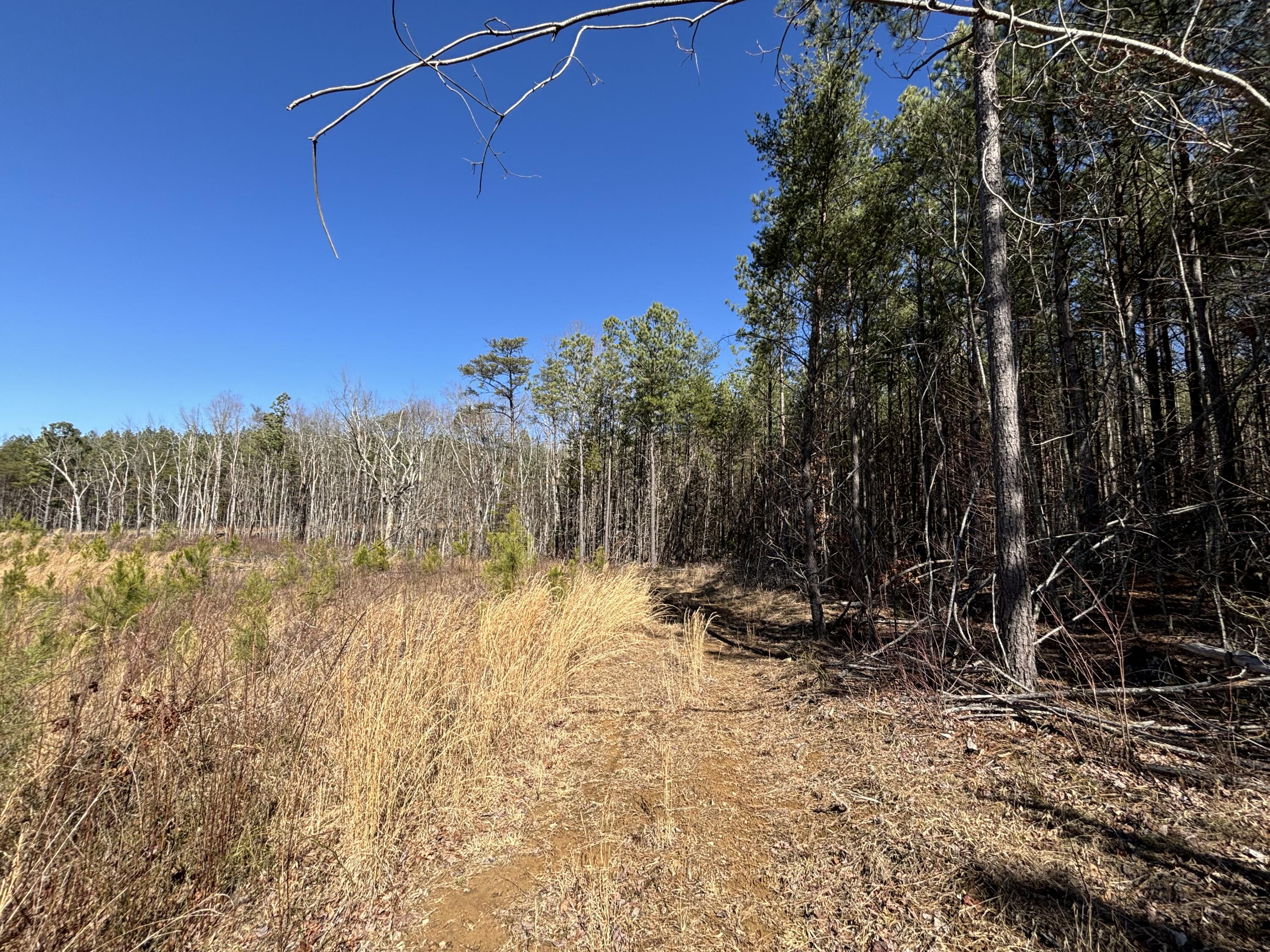 10 Hwy 399, Dunlap, Tennessee image 7