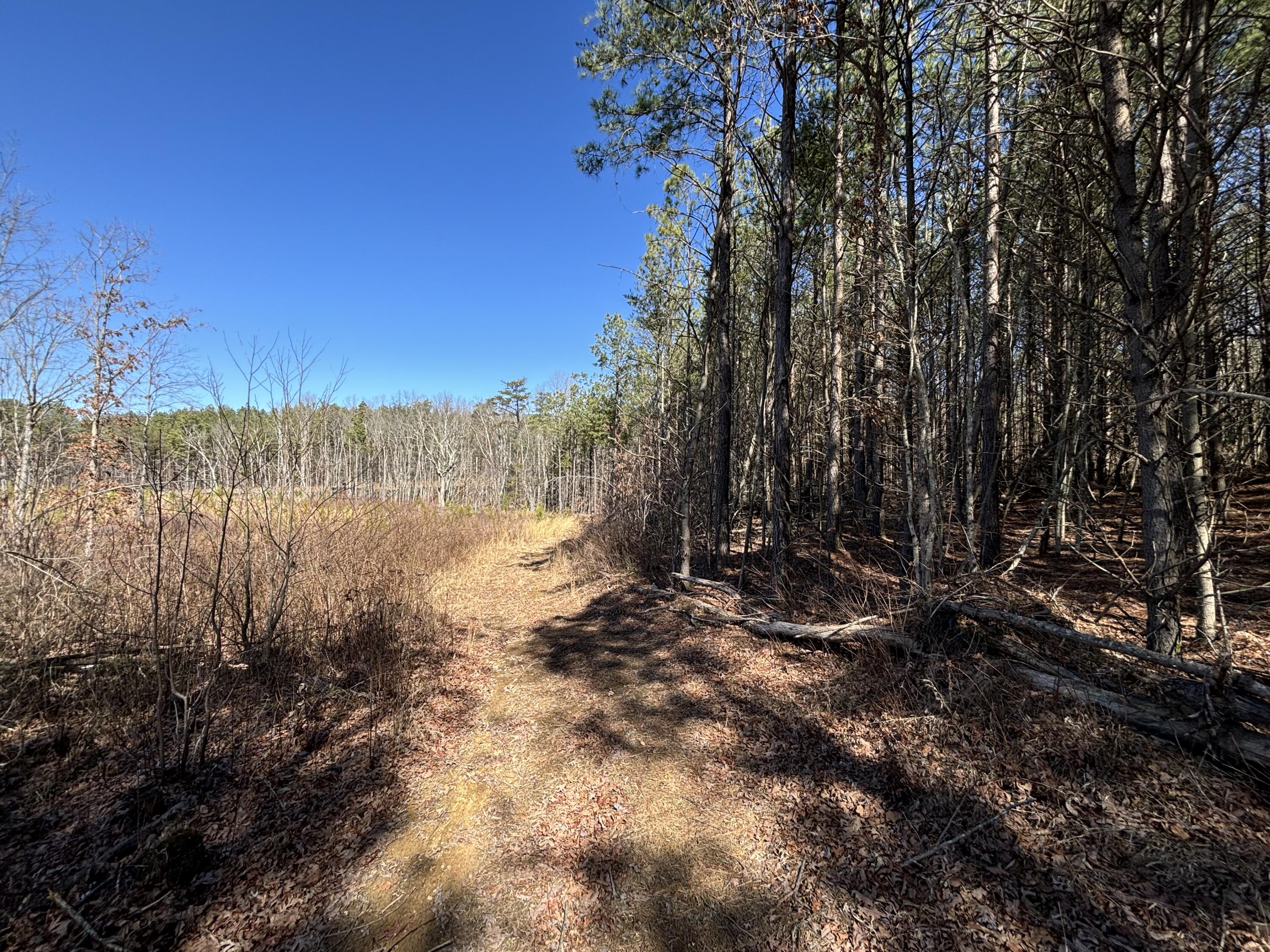 10 Hwy 399, Dunlap, Tennessee image 18