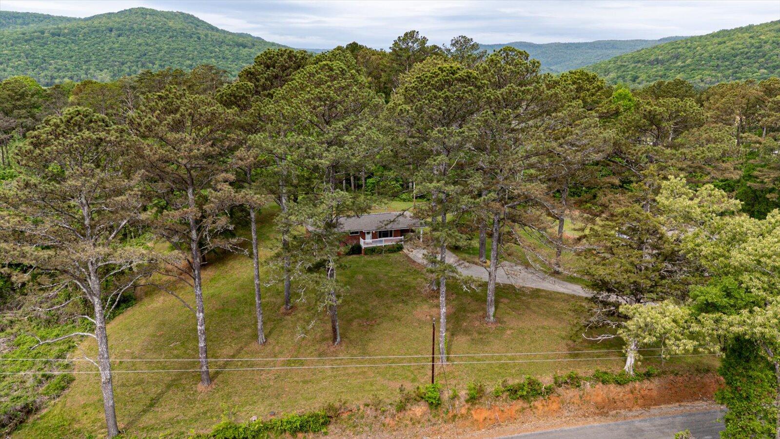 451 County Rd 208, Bridgeport, Alabama image 18