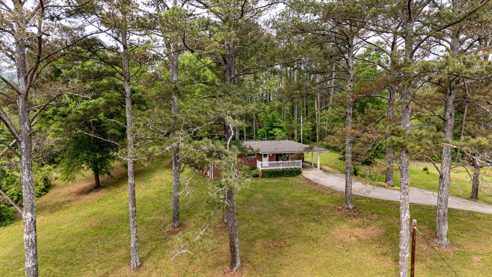 451 County Rd 208, Bridgeport, Alabama image 17