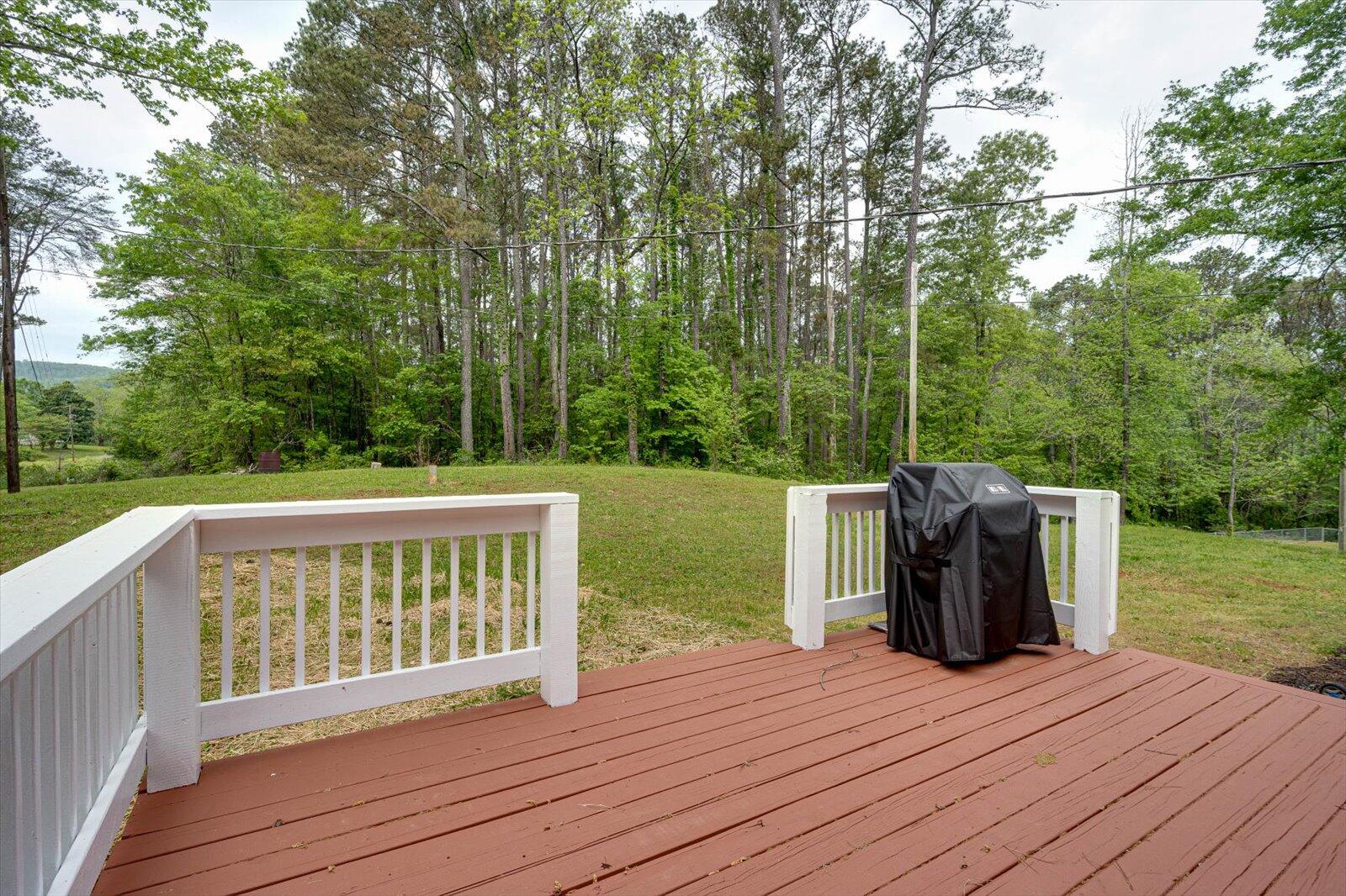 451 County Rd 208, Bridgeport, Alabama image 14