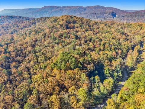 Vacant Land For Sale - 2429 Shinbone Ridge Road<br/> LaFayette, GA 30728