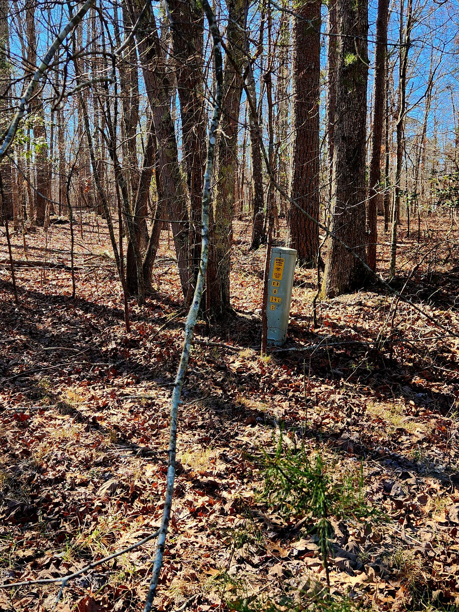 157 Highway, Rising Fawn, Georgia image 21
