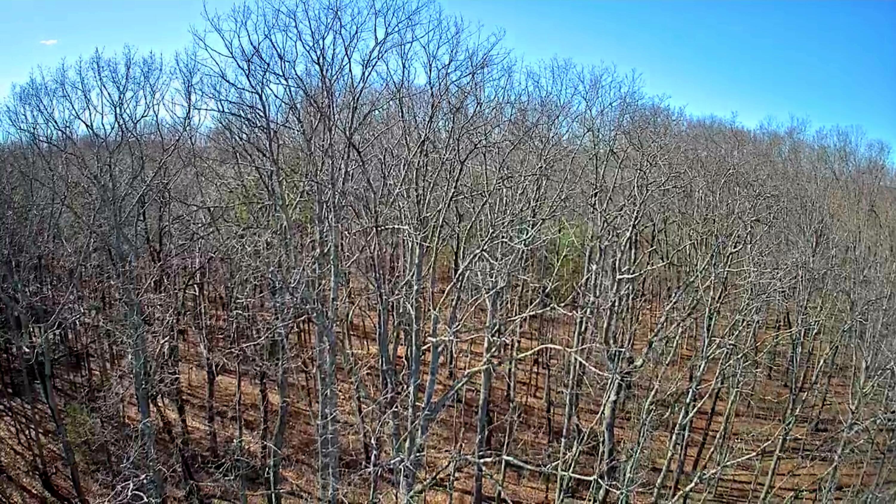 157 Highway, Rising Fawn, Georgia image 11