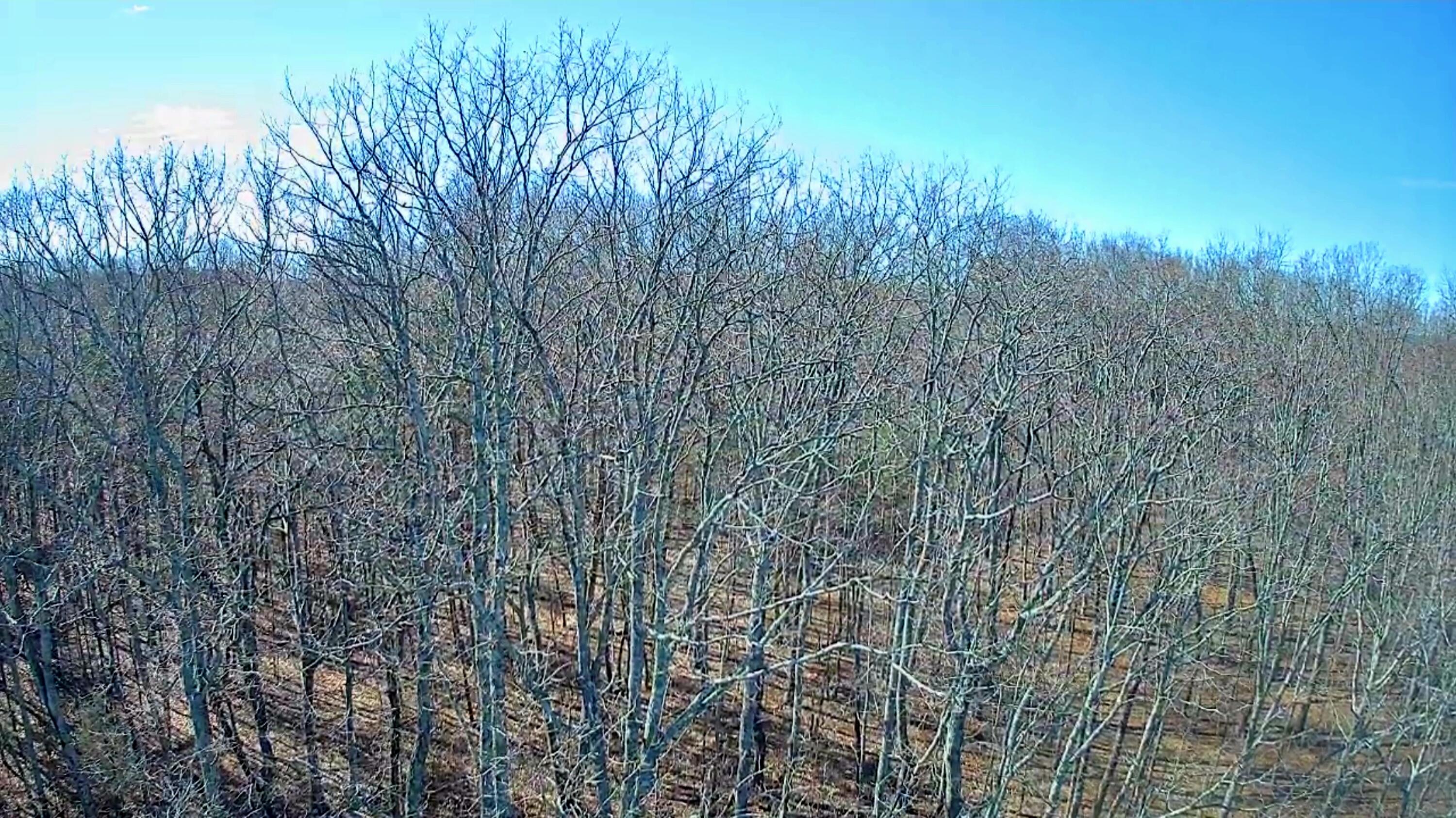 157 Highway, Rising Fawn, Georgia image 19