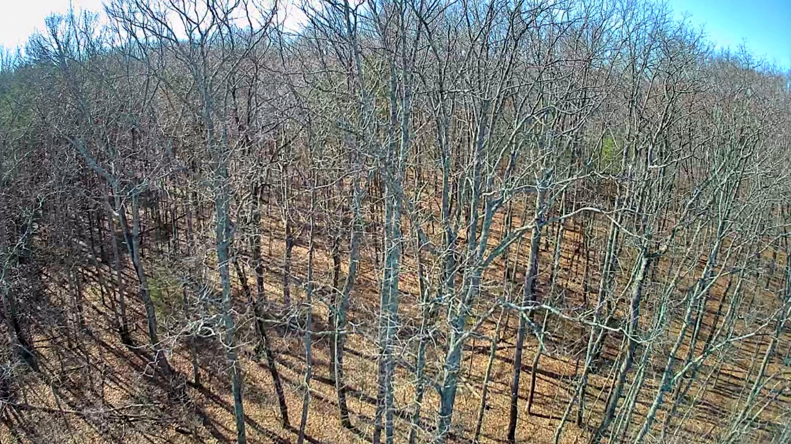 157 Highway, Rising Fawn, Georgia image 13