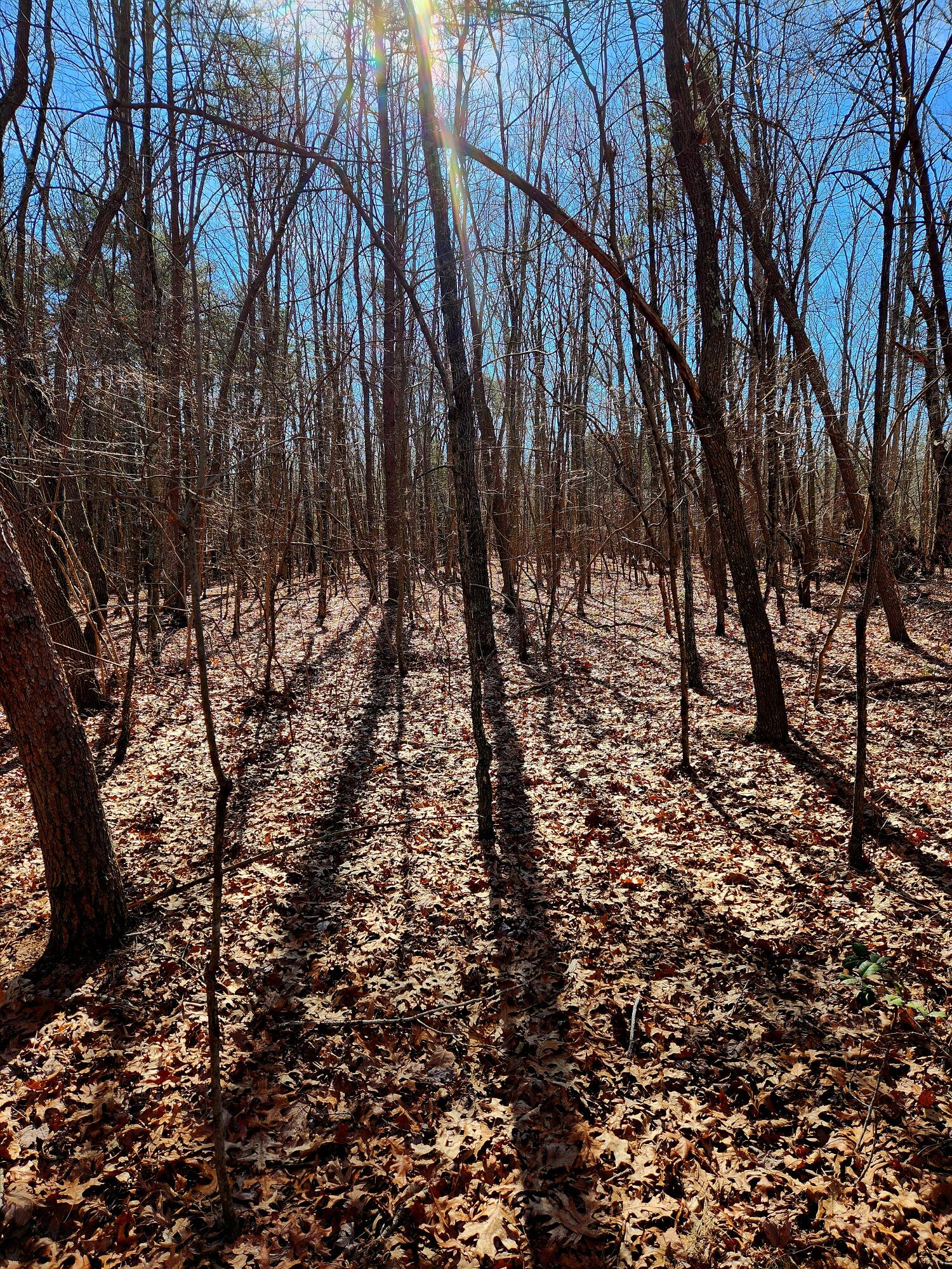 157 Highway, Rising Fawn, Georgia image 7