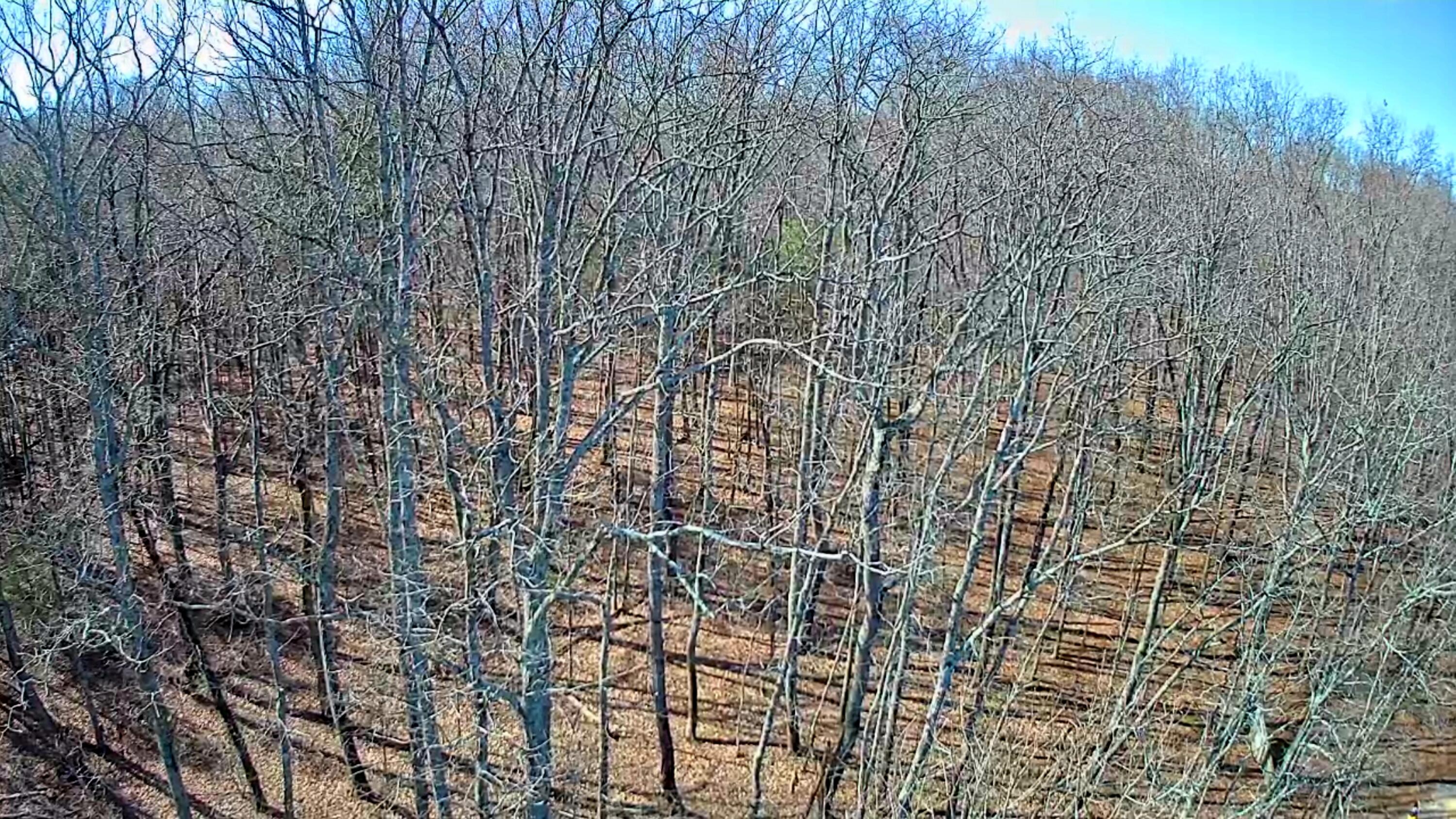 157 Highway, Rising Fawn, Georgia image 14